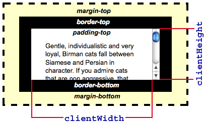 clientWidth